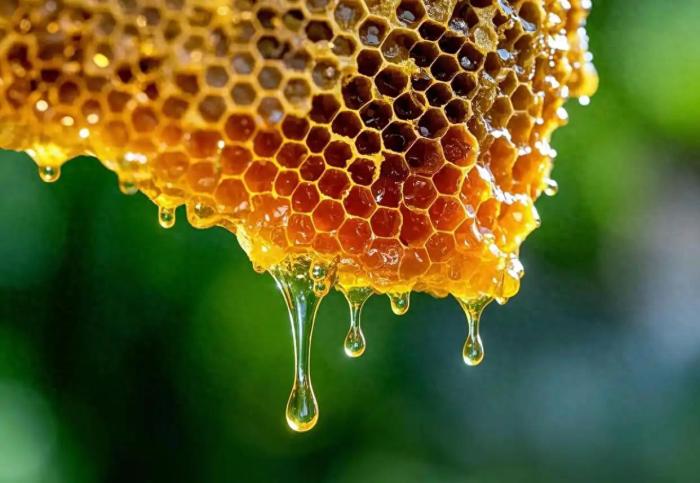 蜂膠怎麼吃